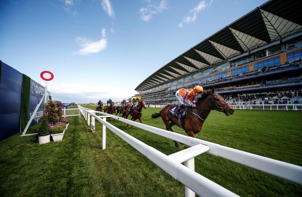 Horses pass the finishing post at Ascot Racecourse